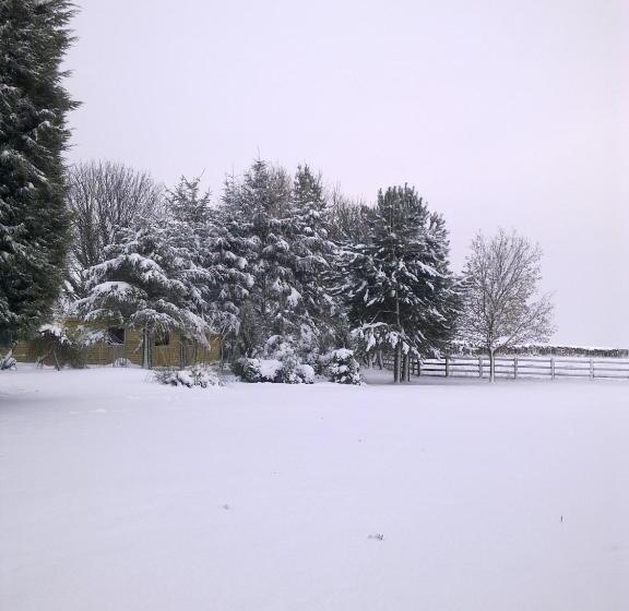 Cottage Lea S Country Hotel & Restaurant