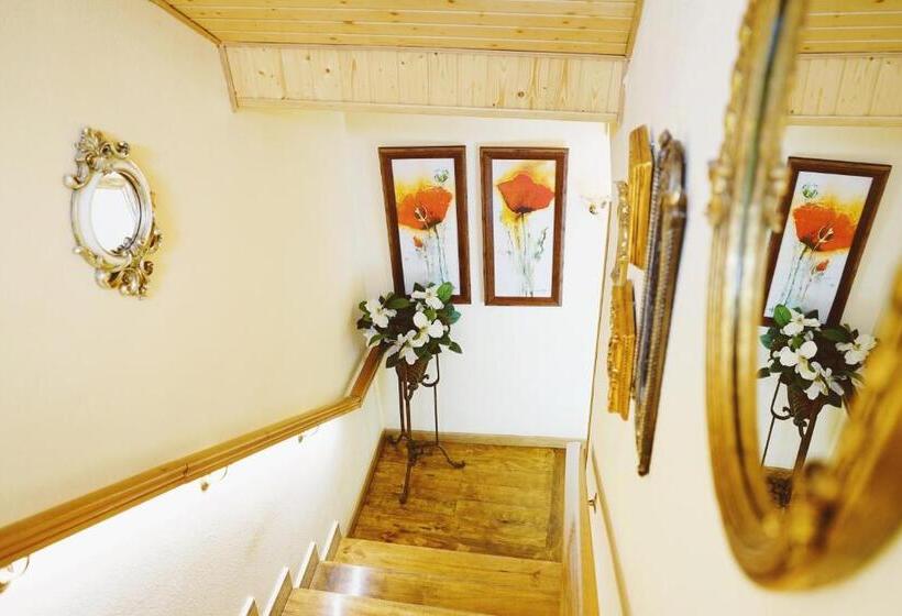 فندق Dc Mesones 21