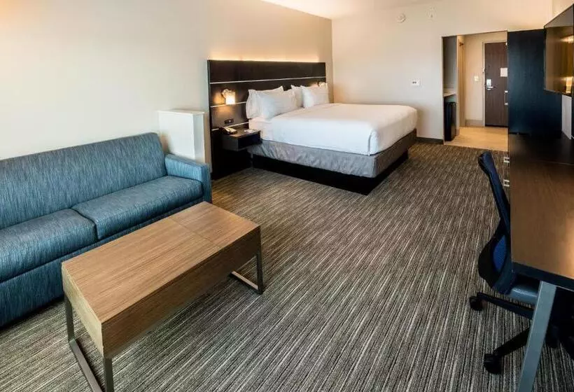 ホテル Holiday Inn Express   North Augusta South Carolina, An Ihg