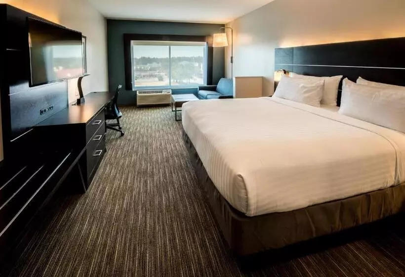 ホテル Holiday Inn Express   North Augusta South Carolina, An Ihg