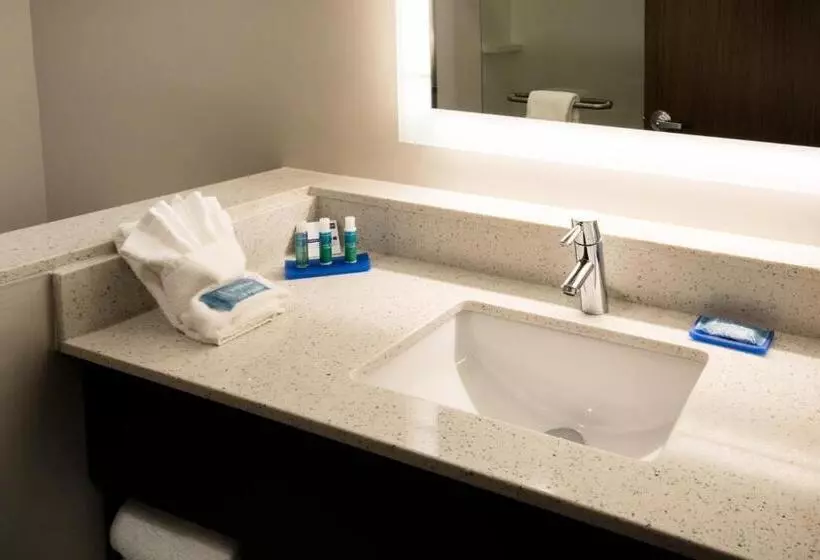 ホテル Holiday Inn Express   North Augusta South Carolina, An Ihg