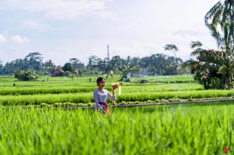 호텔 Kubu Bali Baik Villa & Resort