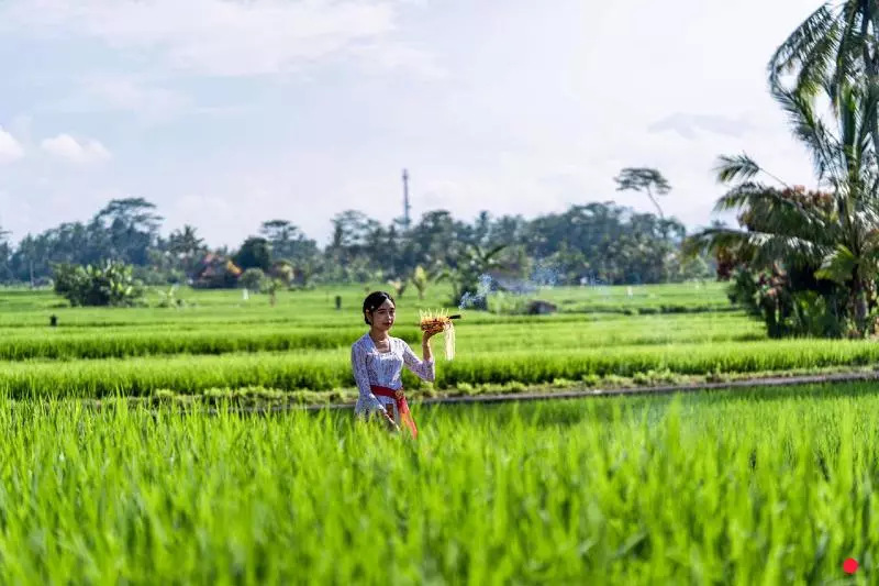 Hotelli Kubu Bali Baik Villa & Resort