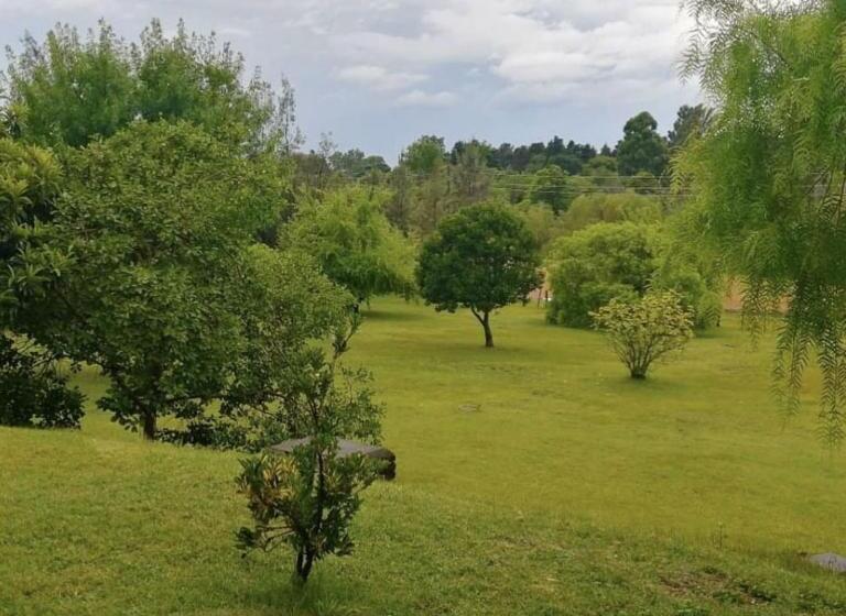 فندق La Castellana