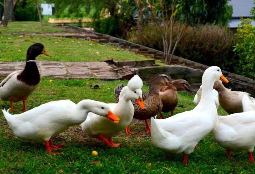 فندق La Castellana