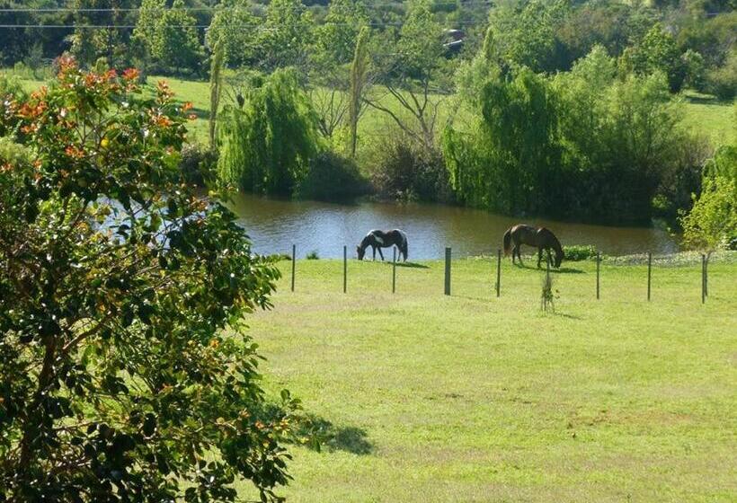 فندق La Castellana