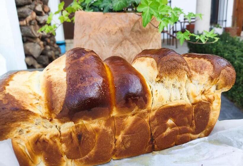 בית מלון כפרי Insula Barataria