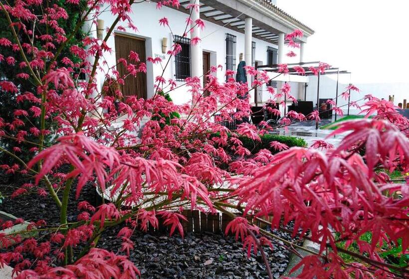 בית מלון כפרי Insula Barataria