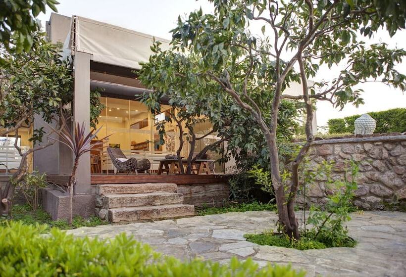 فندق The Lifeco Bodrum Well   Being Center   Adults Only