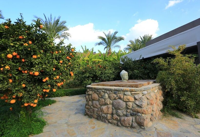 فندق The Lifeco Bodrum Well   Being Center   Adults Only