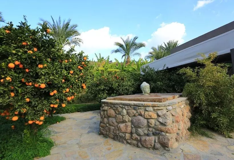 ホテル The Lifeco Bodrum Well   Being Center   Adults Only