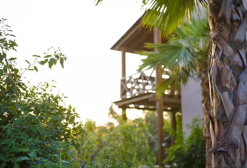 ホテル The Lifeco Bodrum Well   Being Center   Adults Only