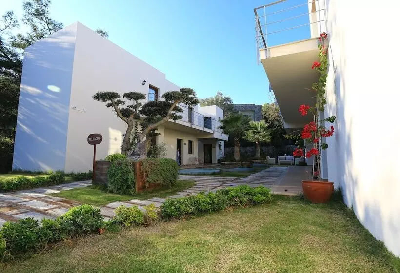 ホテル The Lifeco Bodrum Well   Being Center   Adults Only