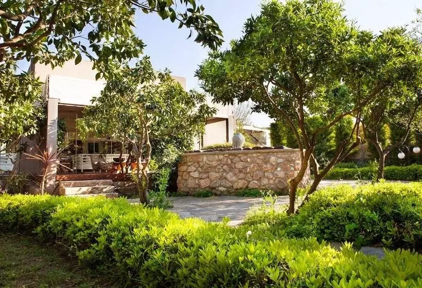 ホテル The Lifeco Bodrum Well   Being Center   Adults Only