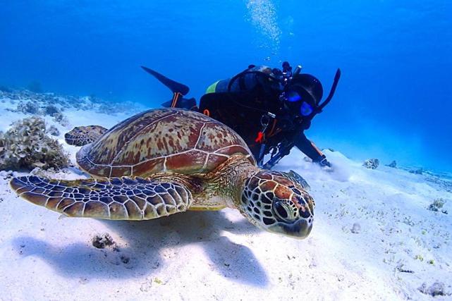 Pensão Ocean Front Miyakojima