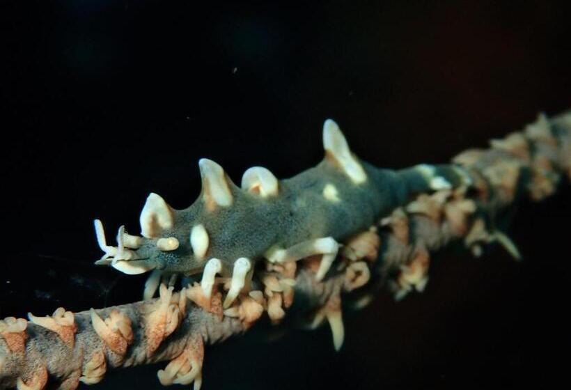 Pensão Ocean Front Miyakojima