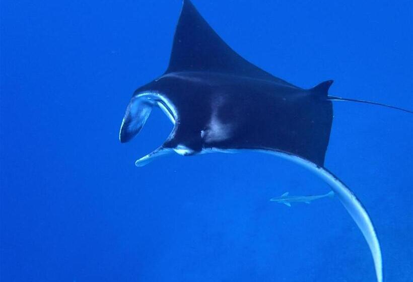 Pensão Ocean Front Miyakojima