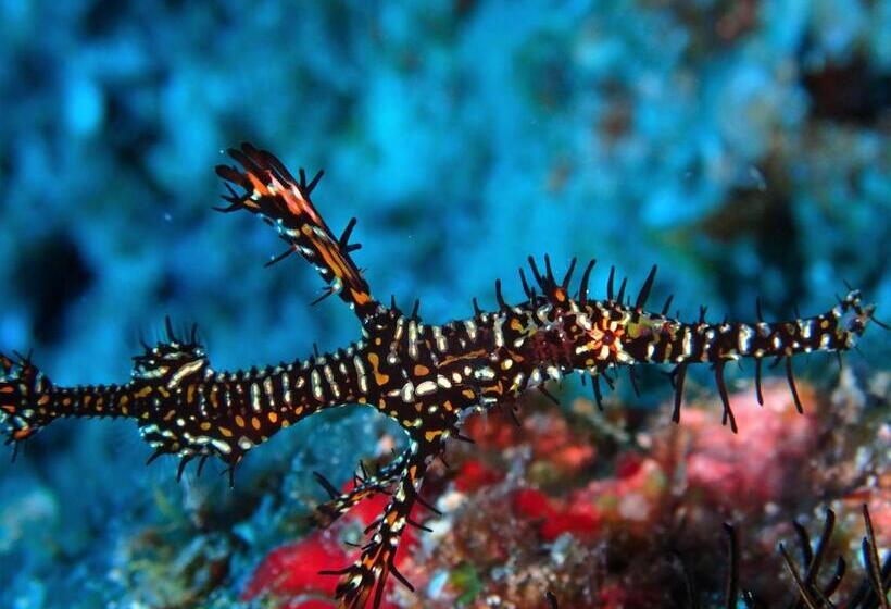 Pensão Ocean Front Miyakojima