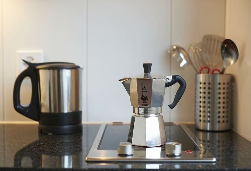 Congress Apartments By Hotel Du Commerce