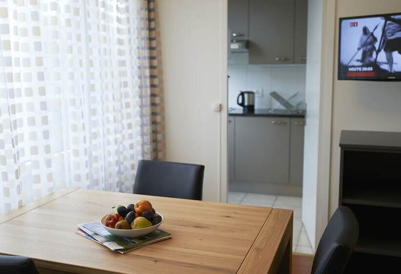 Congress Apartments By Hotel Du Commerce