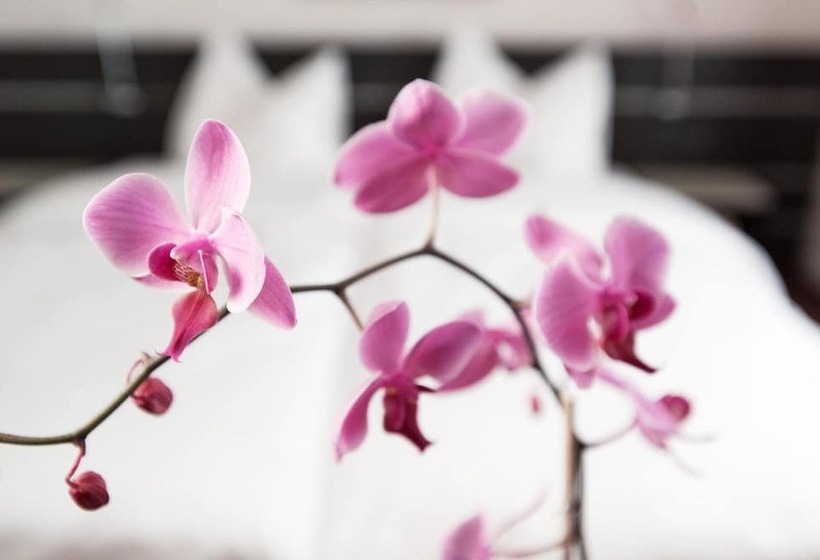 Congress Apartments By Hotel Du Commerce