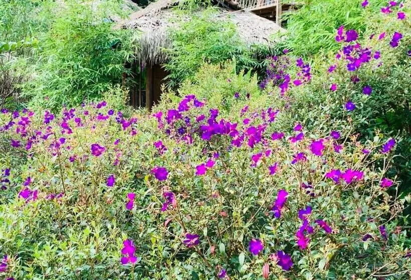 تختخواب و صبحانه Pu Luong Cuisine Garden Homestay