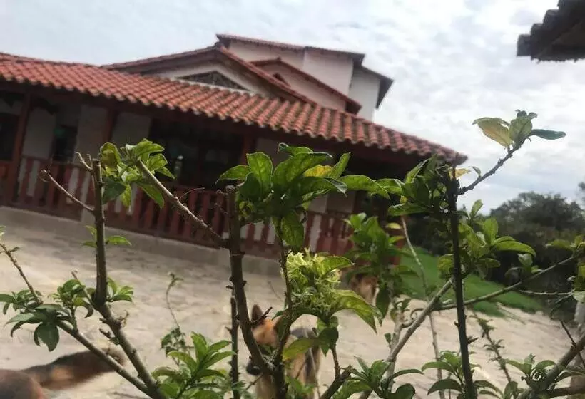 Aamiaismajoitus (B&B) Villa Lulu