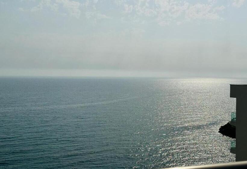 בית מלון כפרי Coastal