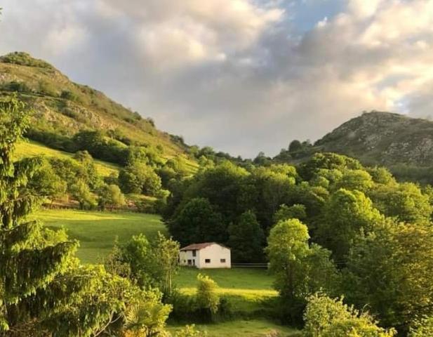 Отель Pensión Casa Morán