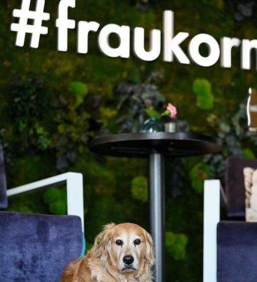 酒店 Project Bay Workation Ahrenshoop