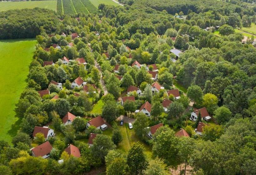 Resort Summio Bungalowpark Het Drentse Wold