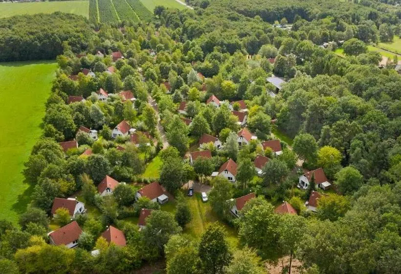 リゾートホテル Summio Bungalowpark Het Drentse Wold