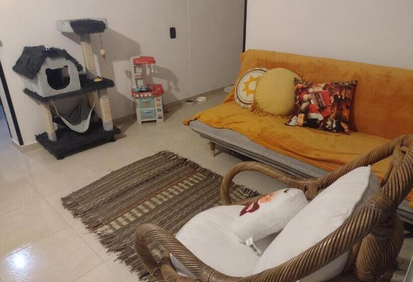 B&b In Floridablanca With A Pool