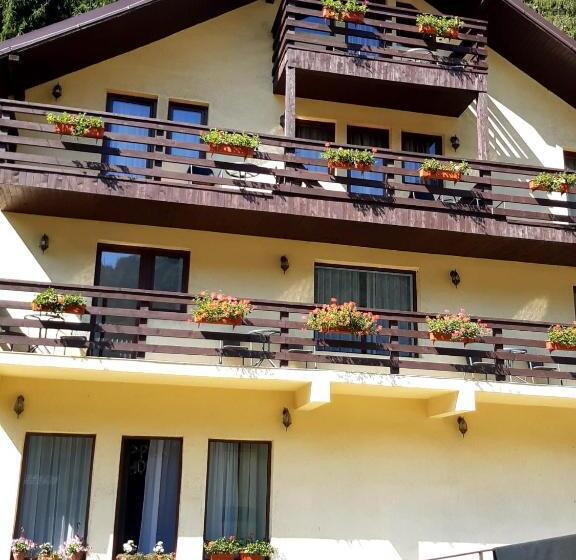 Bed and Breakfast Complex Turistic Roua Muntilor Vila 1