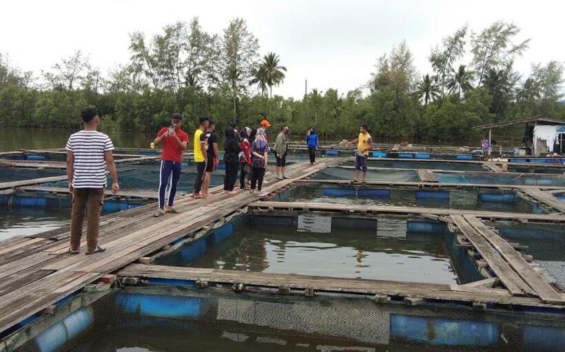 בית מלון כפרי Fikri Wetland Guesthouse & Resort