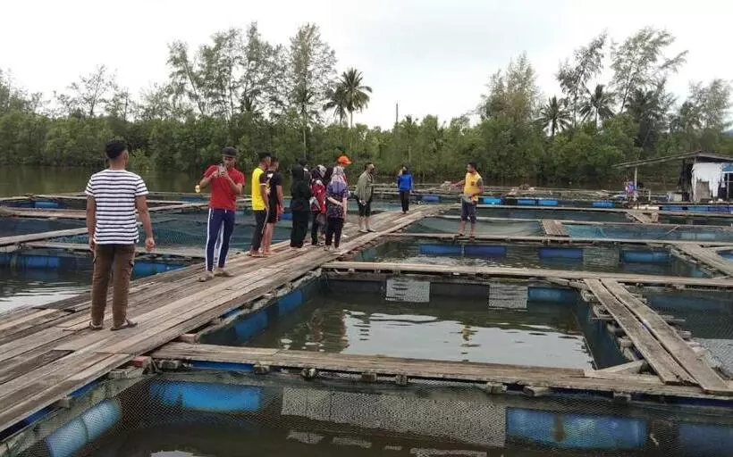 Hotelli Fikri Wetland Guesthouse & Resort