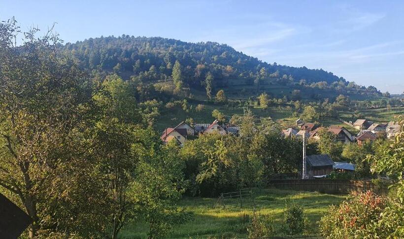 בית מלון כפרי Pensiunea Veselia