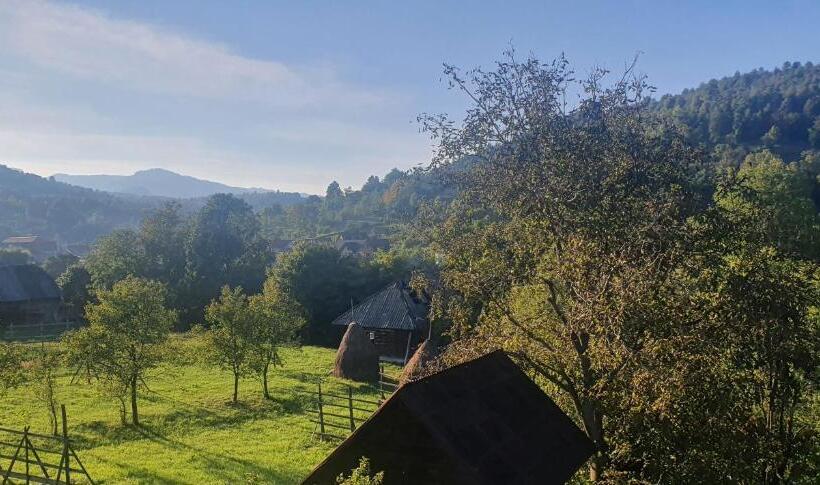 בית מלון כפרי Pensiunea Veselia