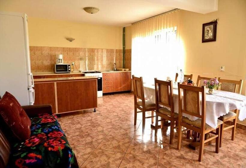 בית מלון כפרי Pensiunea Veselia