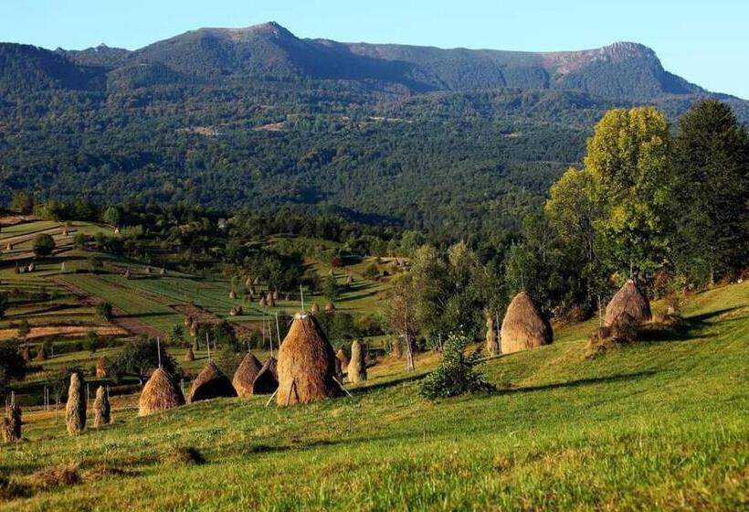 בית מלון כפרי Pensiunea Veselia