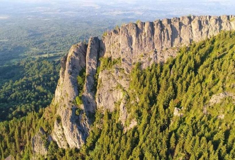 בית מלון כפרי Pensiunea Veselia