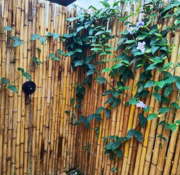 Отель Rainbow Glamping