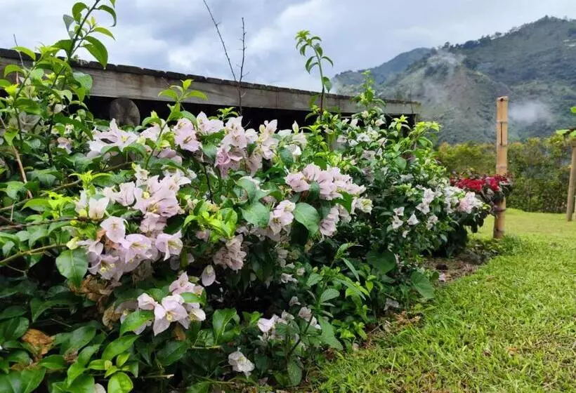 ホテル Rainbow Glamping