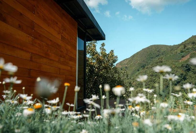 Отель Rainbow Glamping