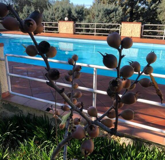 펜션 Trullo Bonaventura