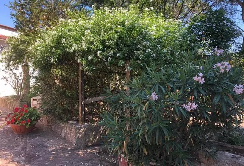 ペンション Trullo Bonaventura