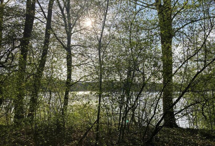 Bed and Breakfast Auf Wolke 7 Gäste Studio Im Mini House In Ch 4556 Aeschi So