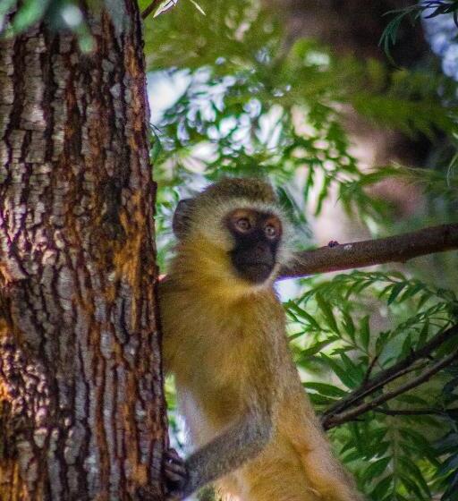 ベッドアンドブレックファースト Riverfront Gardens