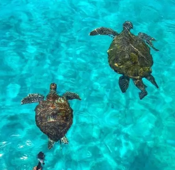 ペンション Perhentian Sri Tanjung , Kampung Nelayan Pulau Perhentian