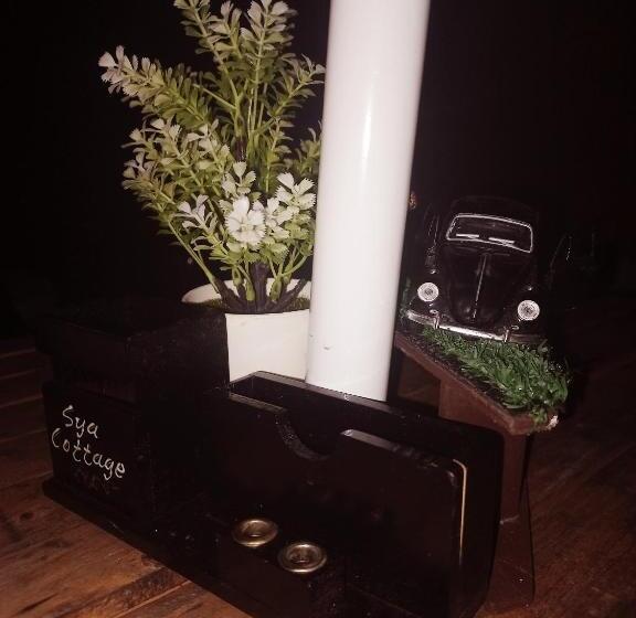 פנסיון Sya Cottage